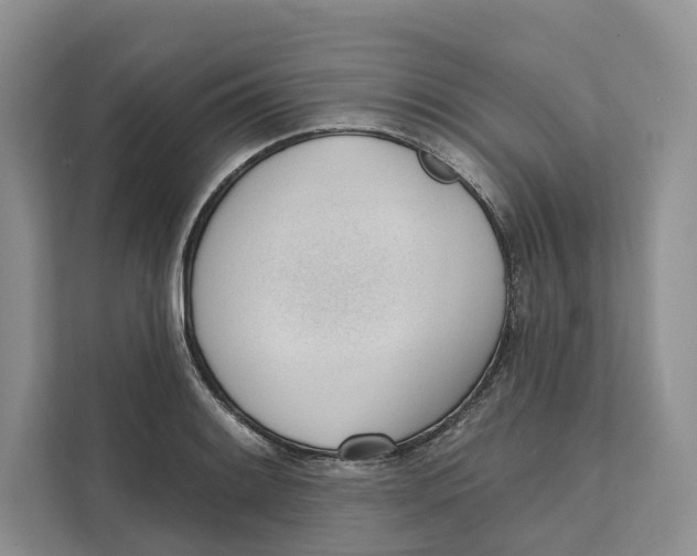 X0000111611084200908071326