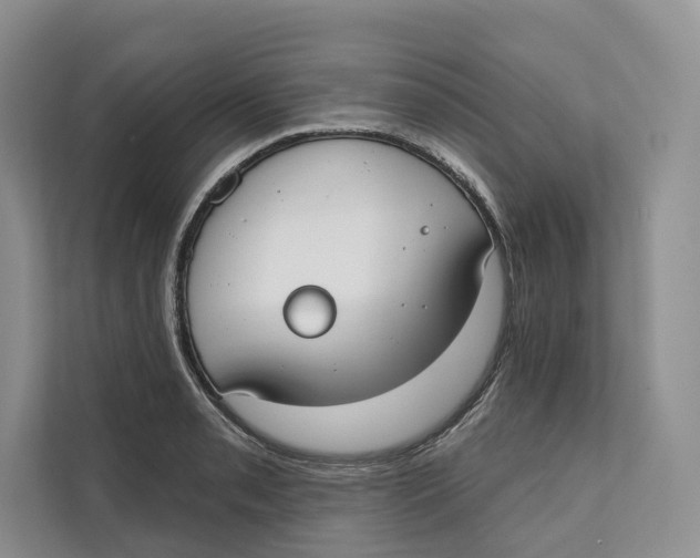 X0000111611085200908071326