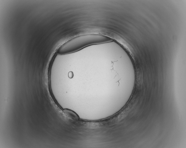 X0000111611088200908071326