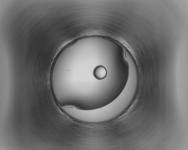 X0000111611089200908071326