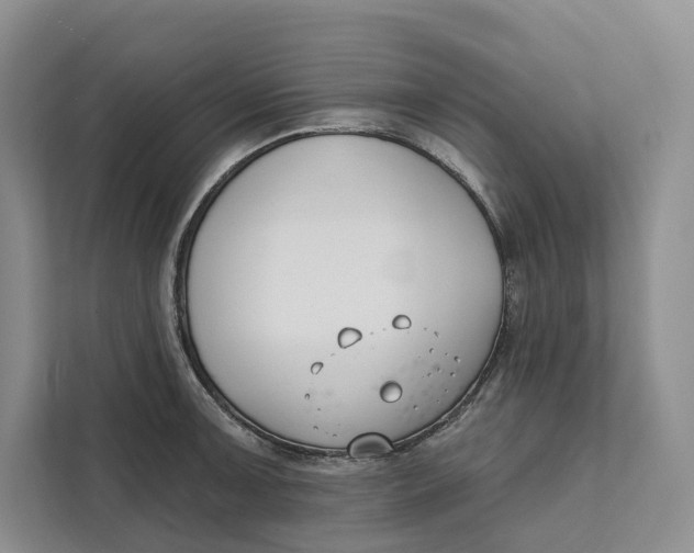 X0000111611091200908071326