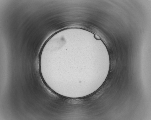 X0000111611092200908071326