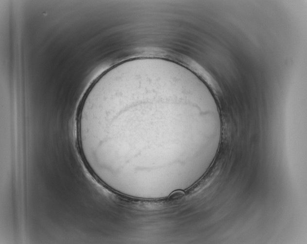 X0000111611095200908071326