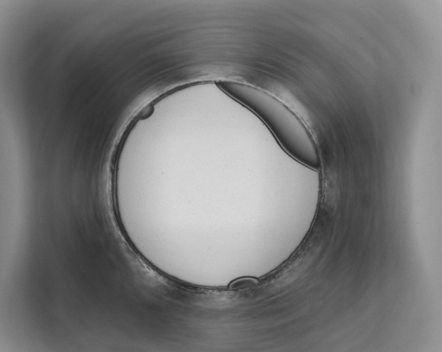 X0000111611096200908071326