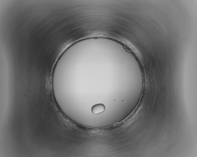 X0000111611097200908071326