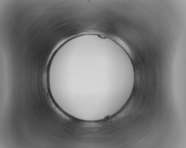 X0000111611100200908071326