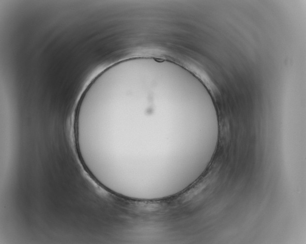 X0000111611103200908071326