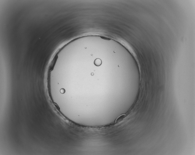 X0000111611104200908071326