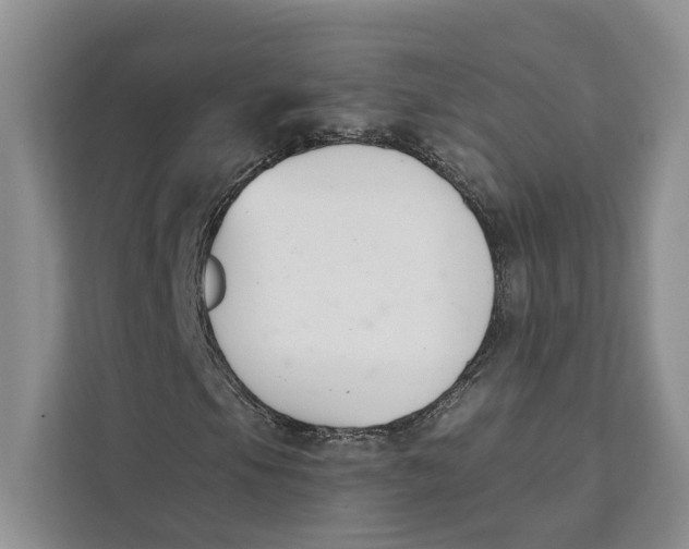 X0000111611105200908071325