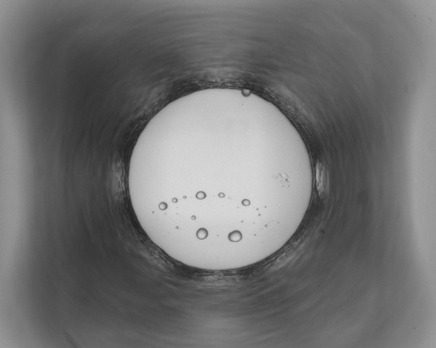 X0000111611107200908071325