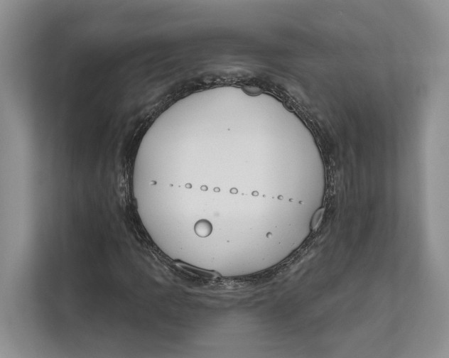 X0000111611109200908071325