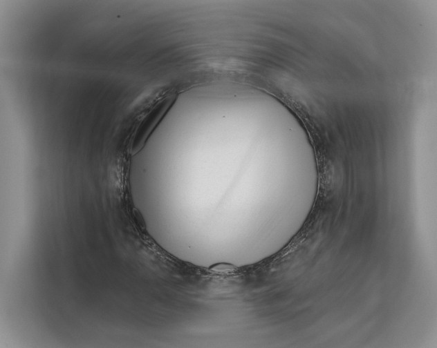 X0000111611110200908071325