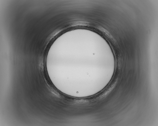 X0000111611113200908071325