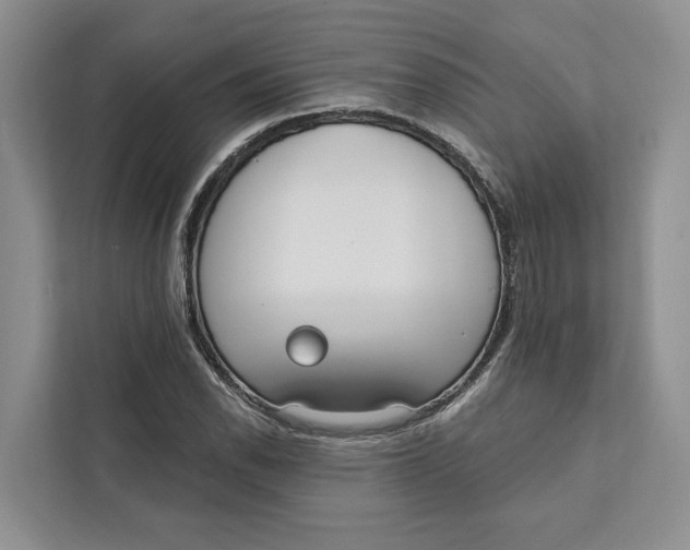 X0000111611118200908071325