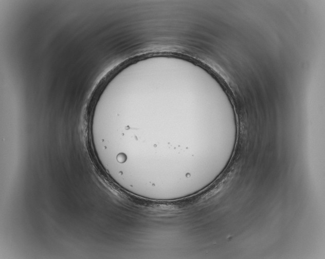 X0000111611119200908071325