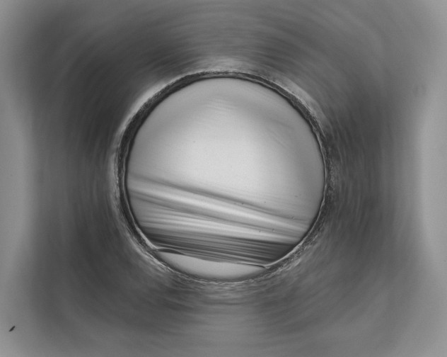 X0000111611120200908071325