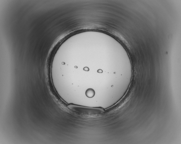 X0000111611122200908071325