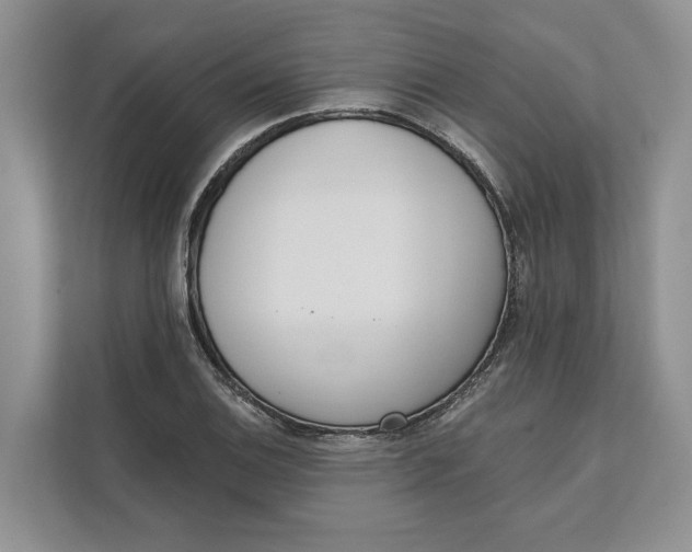 X0000111611124200908071325