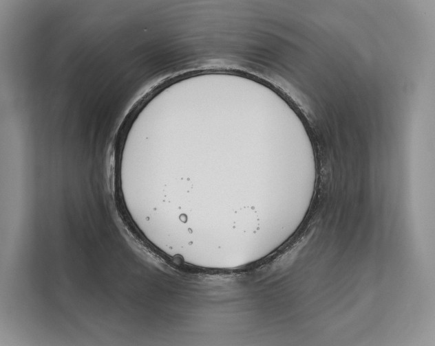 X0000111611126200908071325