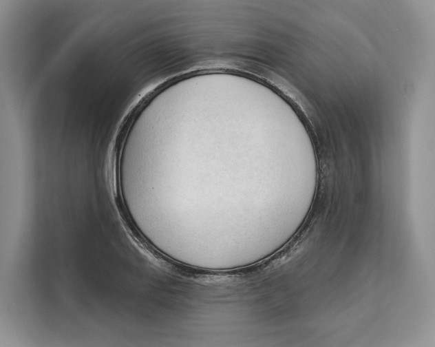 X0000111611127200908071325