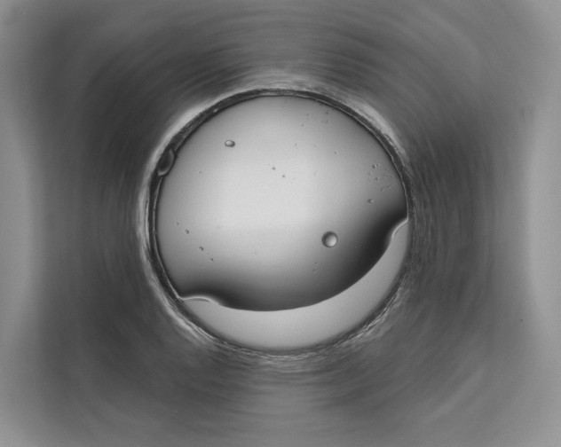 X0000111611128200908071325