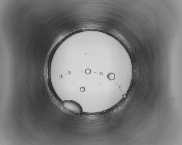 X0000111611130200908071325