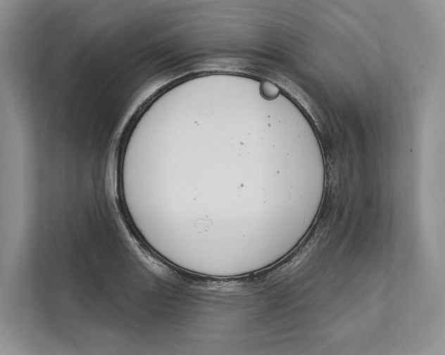 X0000111611131200908071325