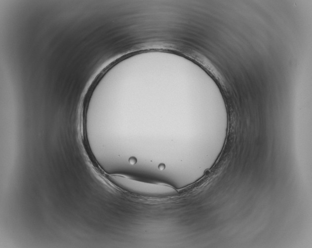 X0000111611132200908071325