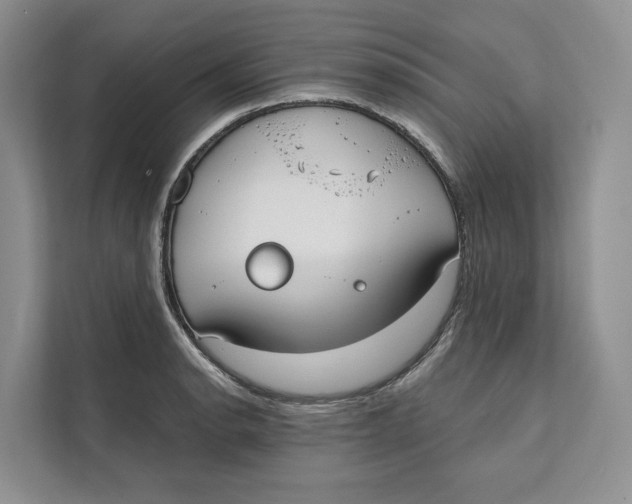 X0000111611134200908071325