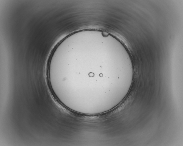 X0000111611135200908071325