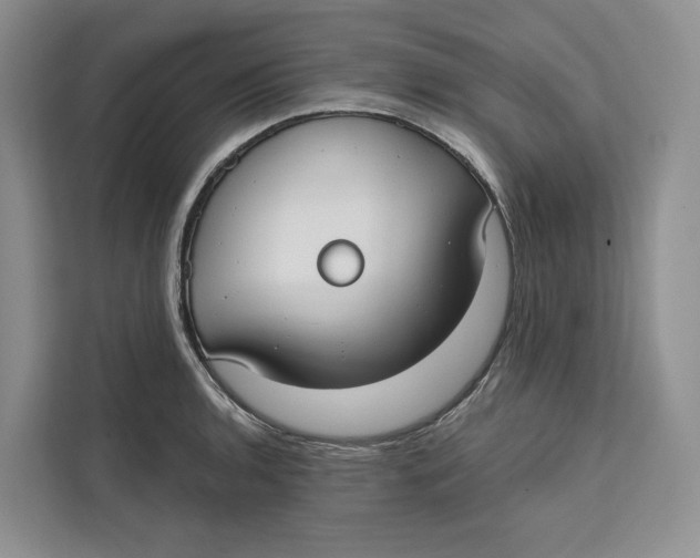 X0000111611136200908071325