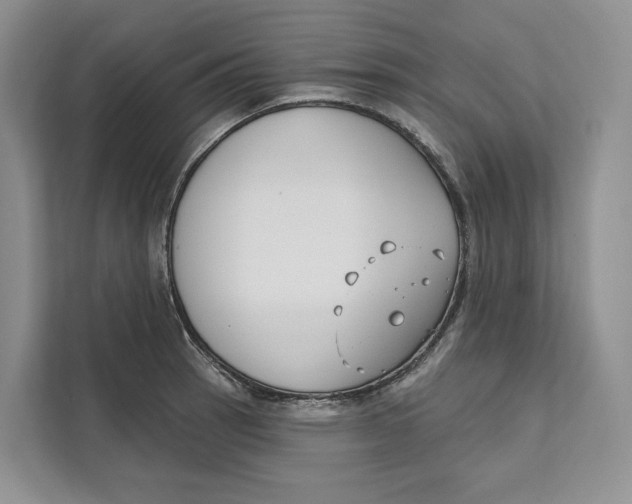 X0000111611137200908071325