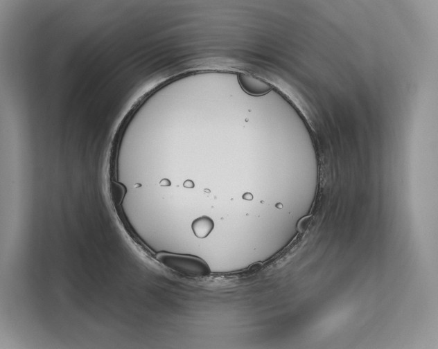 X0000111611139200908071325