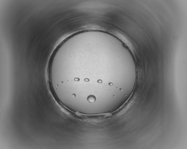 X0000111611141200908071325