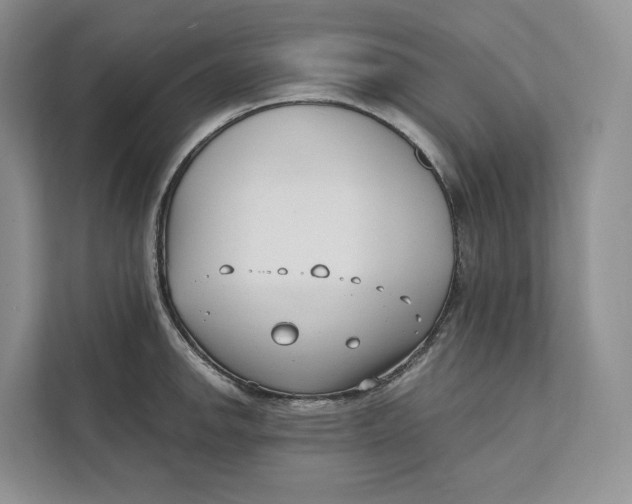 X0000111611142200908071325