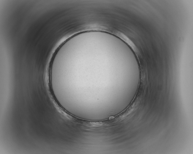 X0000111611144200908071325