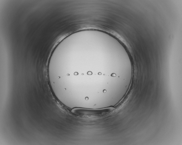 X0000111611145200908071325