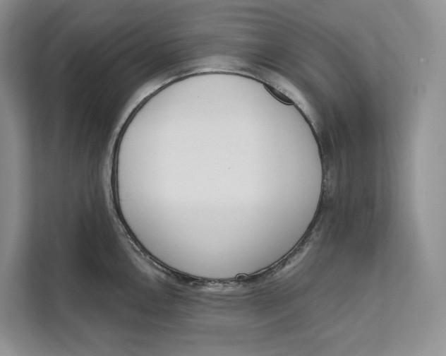 X0000111611146200908071325