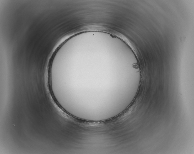 X0000111611147200908071325