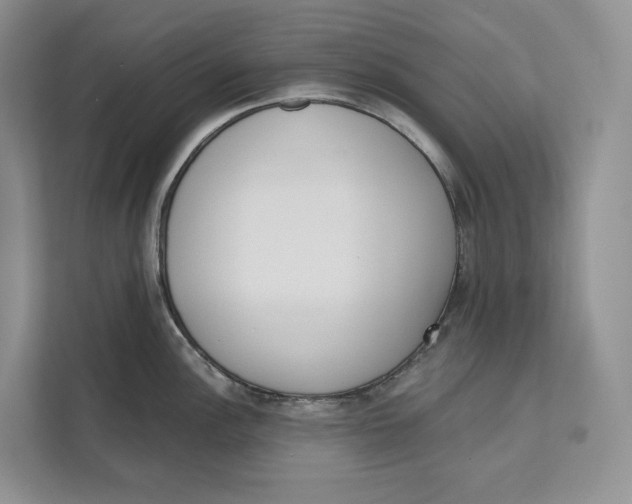 X0000111611148200908071325