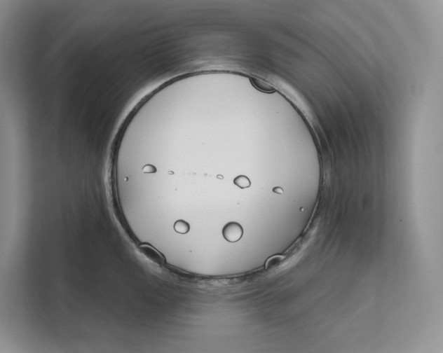 X0000111611149200908071325