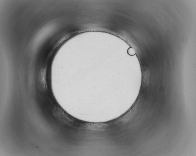 X0000111611150200908071326