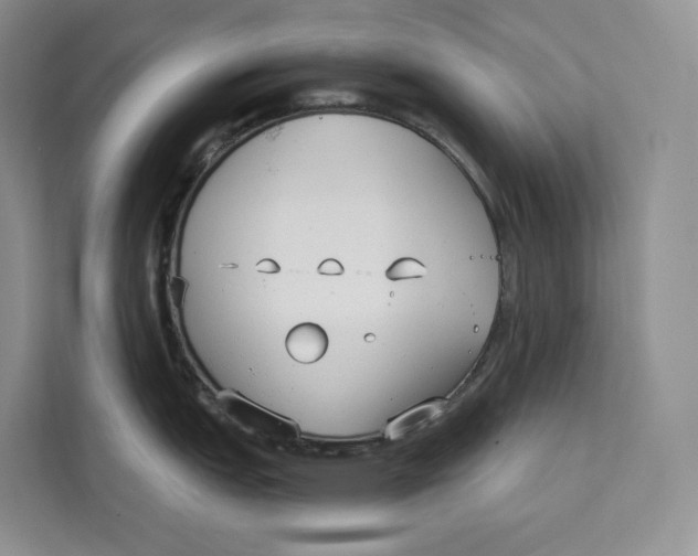 X0000111611151200908071326