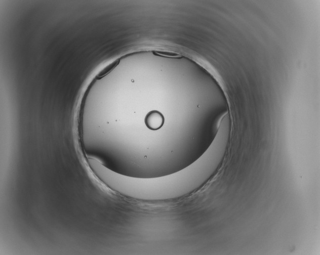 X0000111611152200908071326