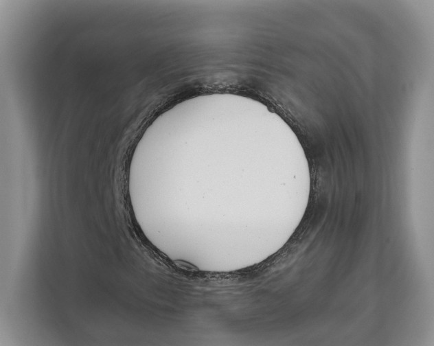 X0000111611153200908071325