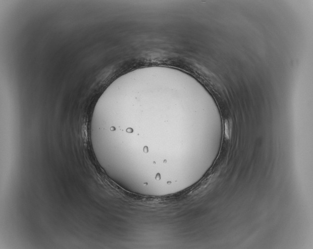 X0000111611155200908071325