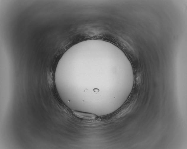 X0000111611156200908071325