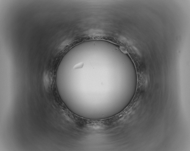 X0000111611157200908071325