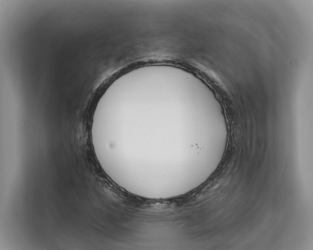 X0000111611160200908071325