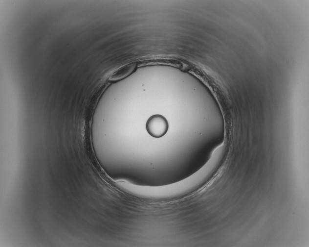 X0000111611161200908071325